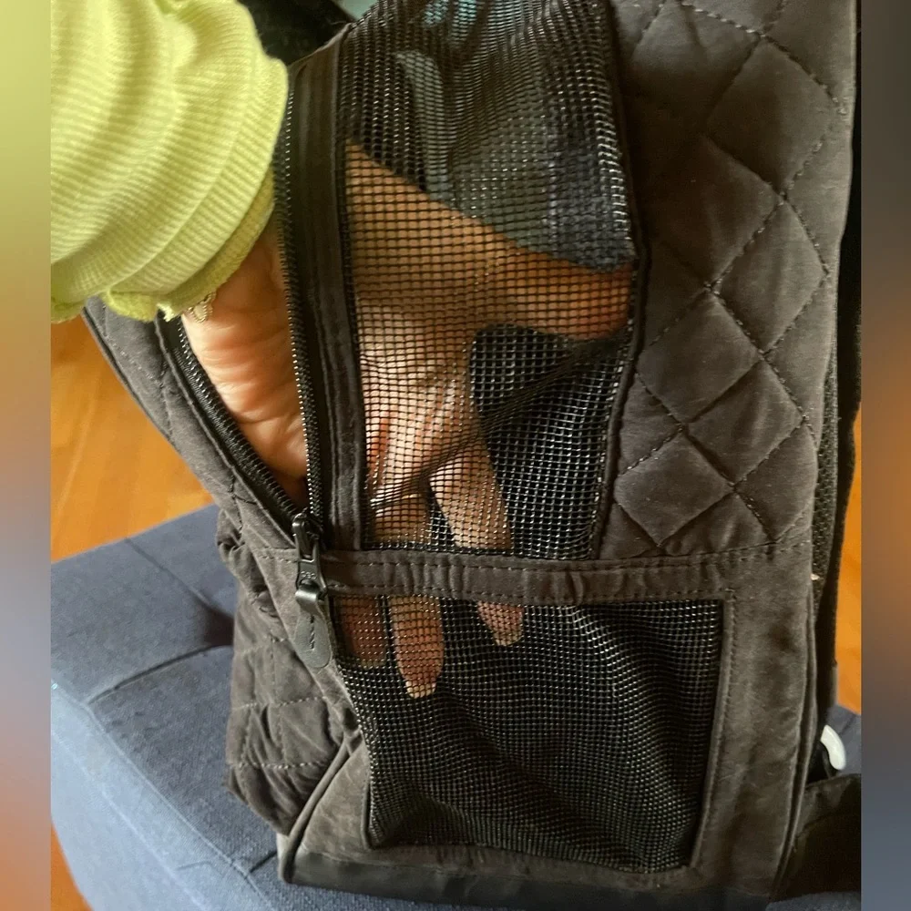 Pet carrier for dogs and cats brand new